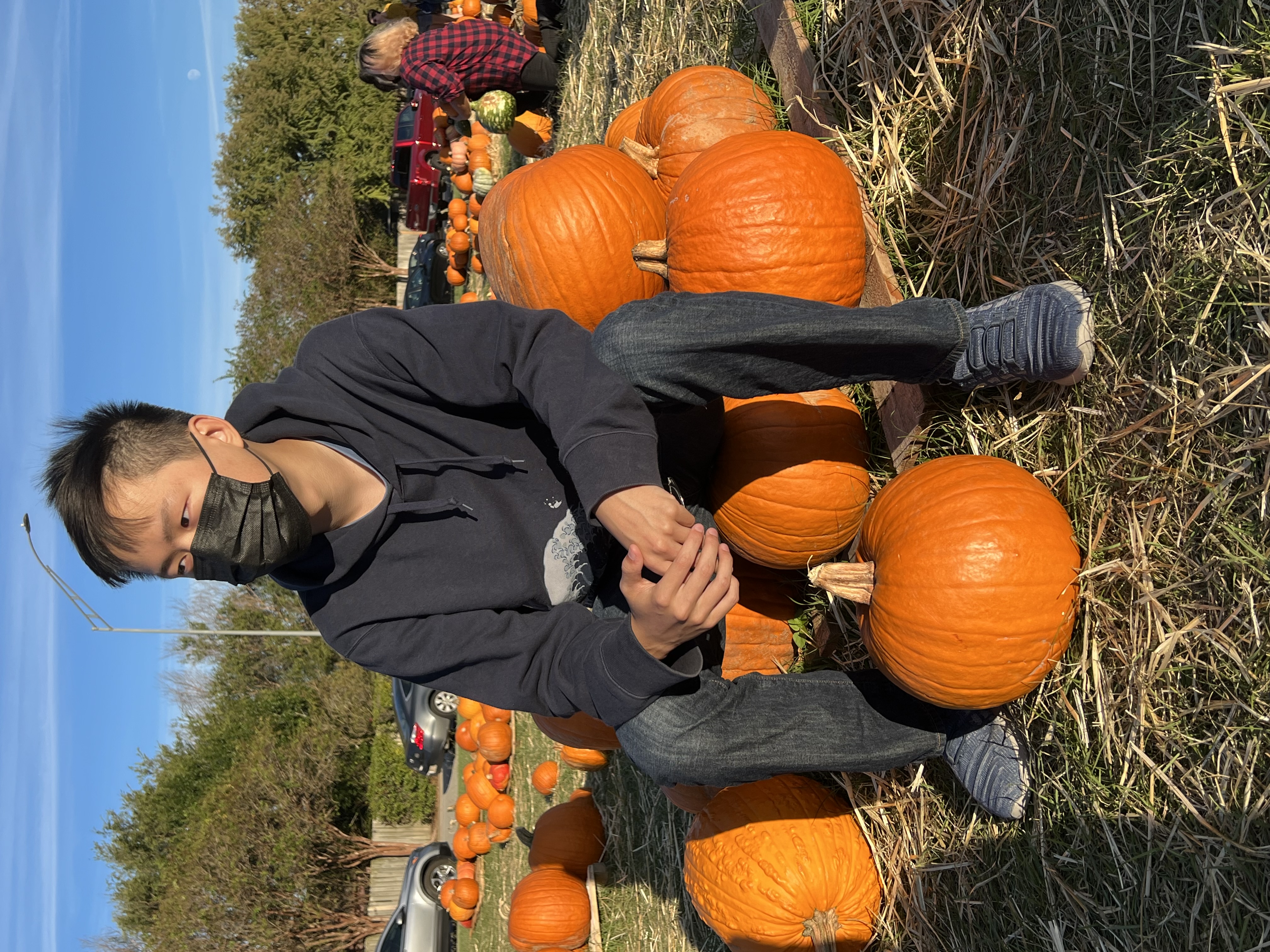 Pumpkin Patch